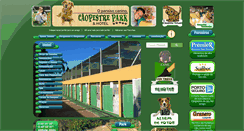 Desktop Screenshot of caopestre.com.br